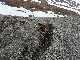 20150610_132802.jpg