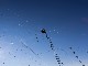 selected-146.jpg