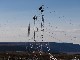 selected-148.jpg