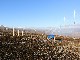 container-location-20150917.jpg